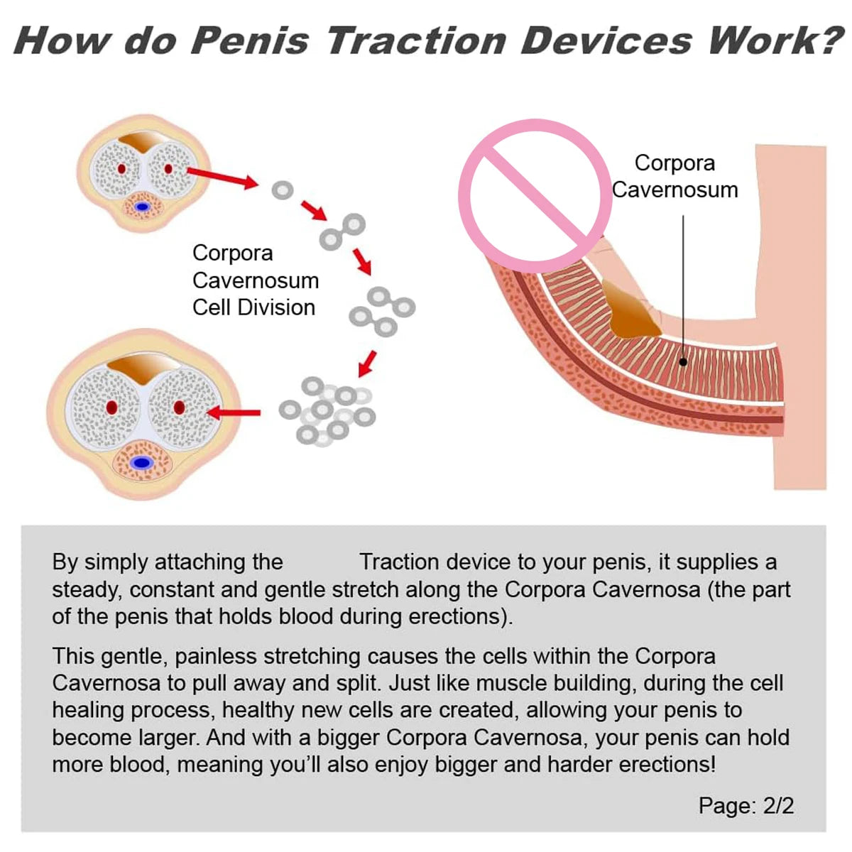 Adjustable Penis Enlargement Extender – Male Stretcher & Endurance Trainer for Growth Care